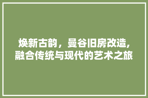 焕新古韵，曼谷旧房改造,融合传统与现代的艺术之旅
