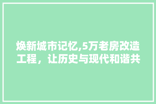 焕新城市记忆,5万老房改造工程，让历史与现代和谐共生 汽车维修