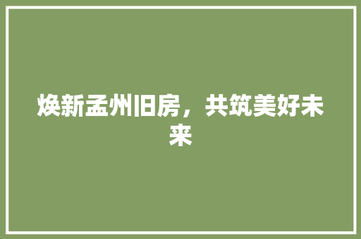 焕新孟州旧房，共筑美好未来