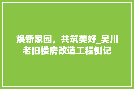 焕新家园，共筑美好_吴川老旧楼房改造工程侧记 汽车维修