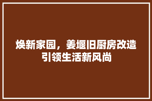 焕新家园，姜堰旧厨房改造引领生活新风尚