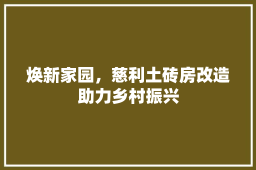 焕新家园，慈利土砖房改造助力乡村振兴 汽车维修
