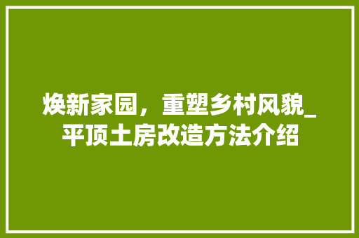 焕新家园，重塑乡村风貌_平顶土房改造方法介绍 汽车维修