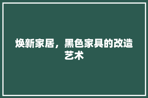 焕新家居，黑色家具的改造艺术