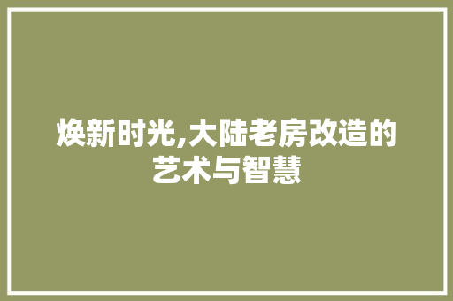 焕新时光,大陆老房改造的艺术与智慧