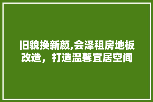 旧貌换新颜,会泽租房地板改造，打造温馨宜居空间 家电维修