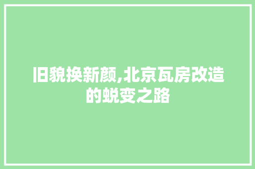 旧貌换新颜,北京瓦房改造的蜕变之路