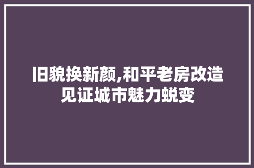 旧貌换新颜,和平老房改造见证城市魅力蜕变