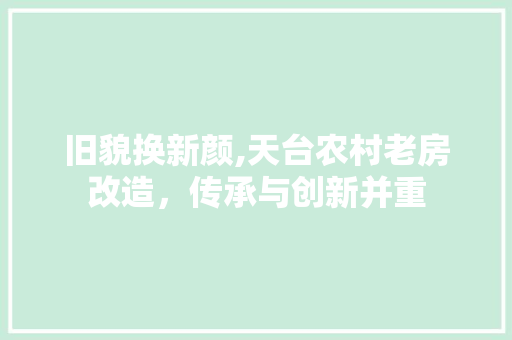 旧貌换新颜,天台农村老房改造，传承与创新并重