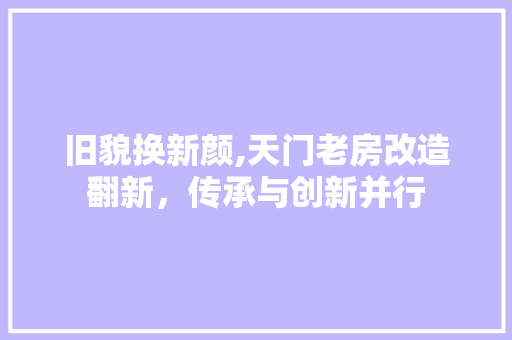 旧貌换新颜,天门老房改造翻新，传承与创新并行 汽车维修
