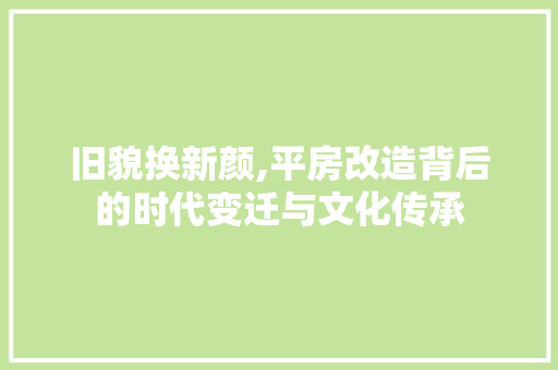旧貌换新颜,平房改造背后的时代变迁与文化传承