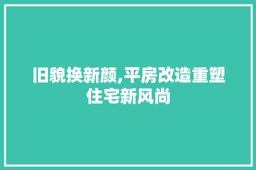 旧貌换新颜,平房改造重塑住宅新风尚
