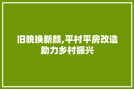 旧貌换新颜,平村平房改造助力乡村振兴
