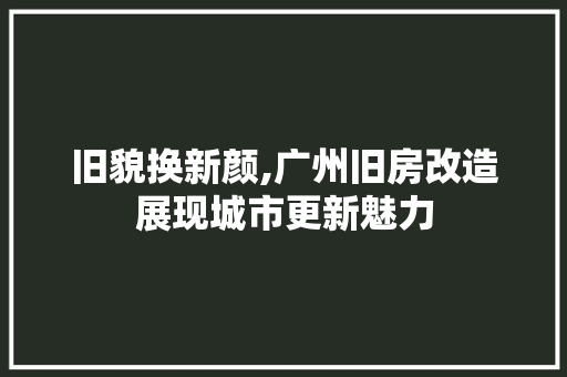 旧貌换新颜,广州旧房改造展现城市更新魅力