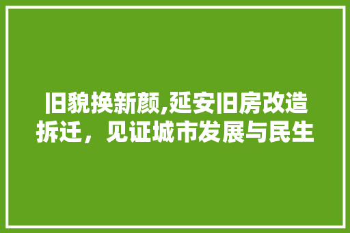 旧貌换新颜,延安旧房改造拆迁，见证城市发展与民生改善