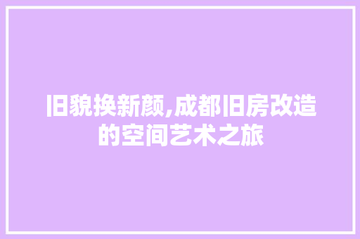 旧貌换新颜,成都旧房改造的空间艺术之旅