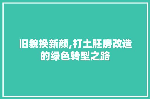 旧貌换新颜,打土胚房改造的绿色转型之路