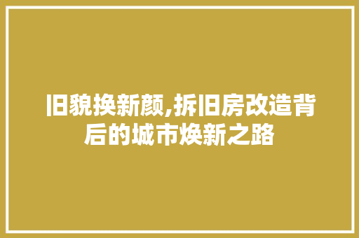 旧貌换新颜,拆旧房改造背后的城市焕新之路