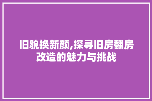 旧貌换新颜,探寻旧房翻房改造的魅力与挑战