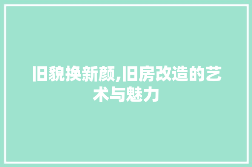 旧貌换新颜,旧房改造的艺术与魅力