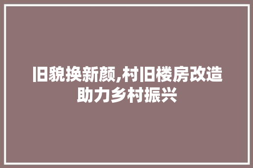 旧貌换新颜,村旧楼房改造助力乡村振兴