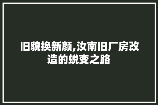 旧貌换新颜,汝南旧厂房改造的蜕变之路