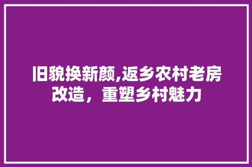 旧貌换新颜,返乡农村老房改造，重塑乡村魅力