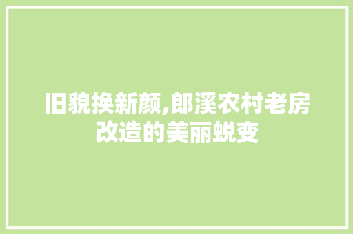 旧貌换新颜,郎溪农村老房改造的美丽蜕变