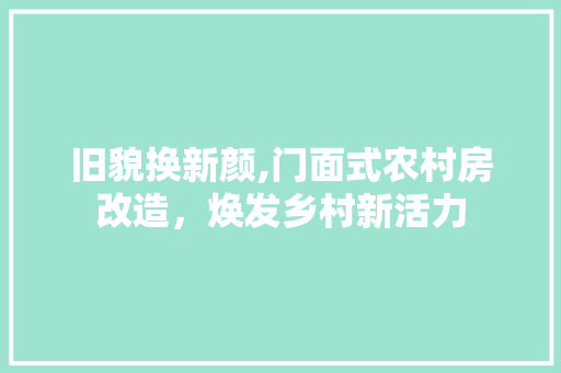 旧貌换新颜,门面式农村房改造，焕发乡村新活力