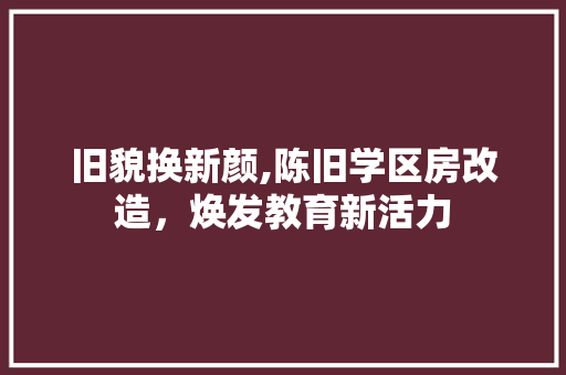 旧貌换新颜,陈旧学区房改造，焕发教育新活力