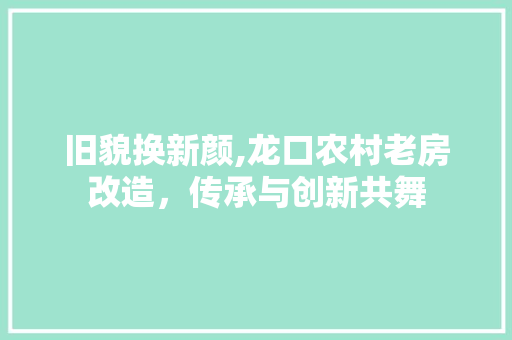 旧貌换新颜,龙口农村老房改造，传承与创新共舞