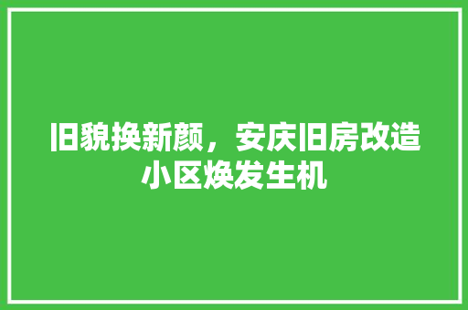 旧貌换新颜，安庆旧房改造小区焕发生机