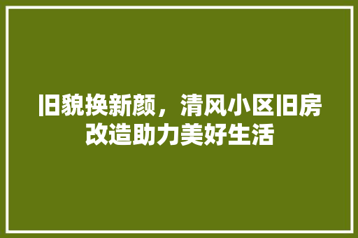 旧貌换新颜，清风小区旧房改造助力美好生活