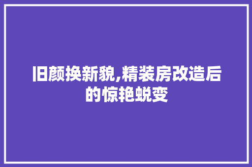 旧颜换新貌,精装房改造后的惊艳蜕变