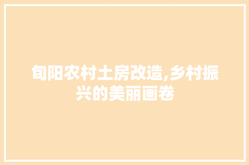 旬阳农村土房改造,乡村振兴的美丽画卷