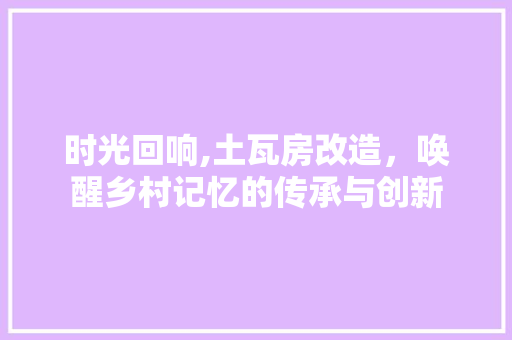 时光回响,土瓦房改造，唤醒乡村记忆的传承与创新