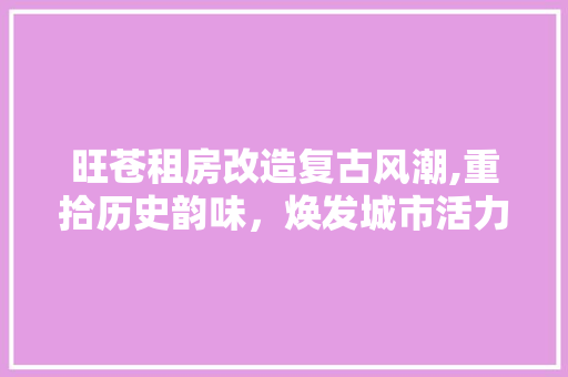 旺苍租房改造复古风潮,重拾历史韵味，焕发城市活力 综合便民