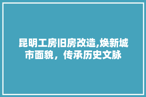 昆明工房旧房改造,焕新城市面貌，传承历史文脉 墙体维修