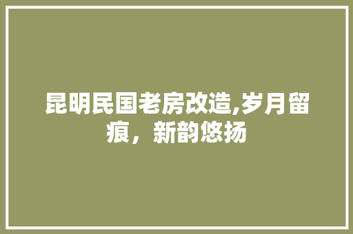 昆明民国老房改造,岁月留痕，新韵悠扬 家电维修