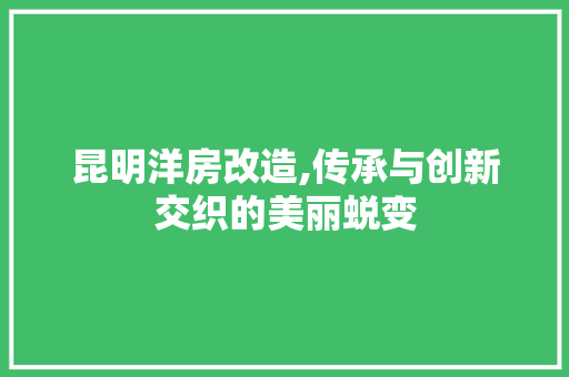 昆明洋房改造,传承与创新交织的美丽蜕变