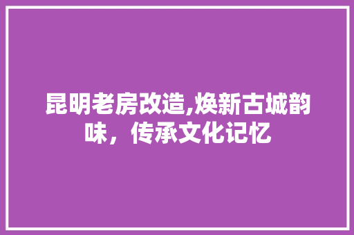 昆明老房改造,焕新古城韵味，传承文化记忆