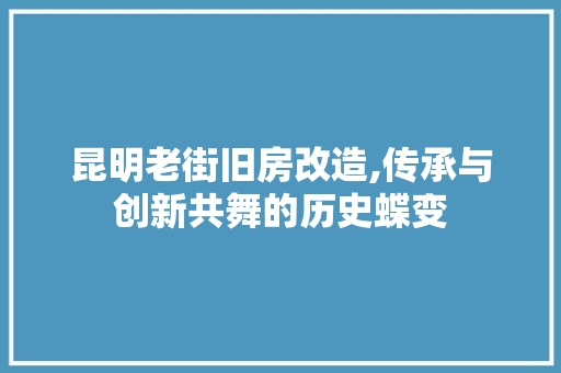 昆明老街旧房改造,传承与创新共舞的历史蝶变