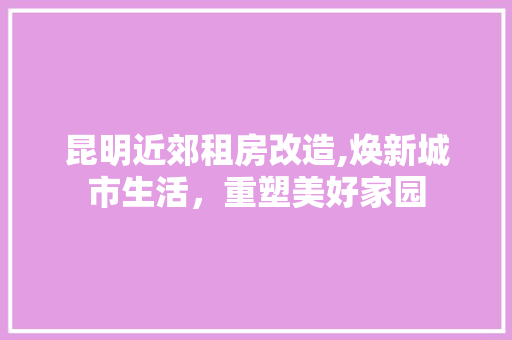 昆明近郊租房改造,焕新城市生活，重塑美好家园
