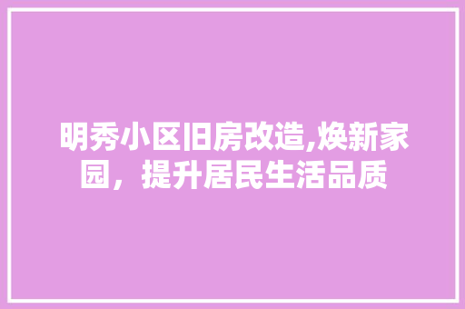 明秀小区旧房改造,焕新家园，提升居民生活品质 墙体维修