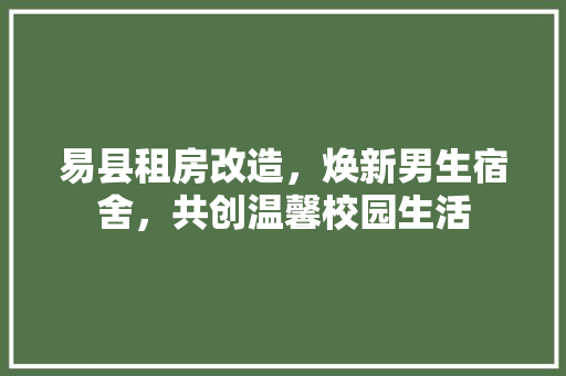 易县租房改造，焕新男生宿舍，共创温馨校园生活 汽车维修