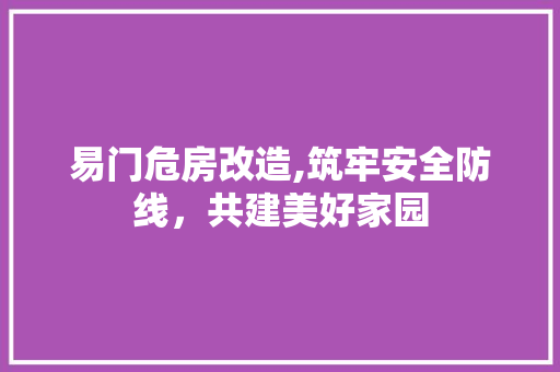 易门危房改造,筑牢安全防线，共建美好家园 厨房维修