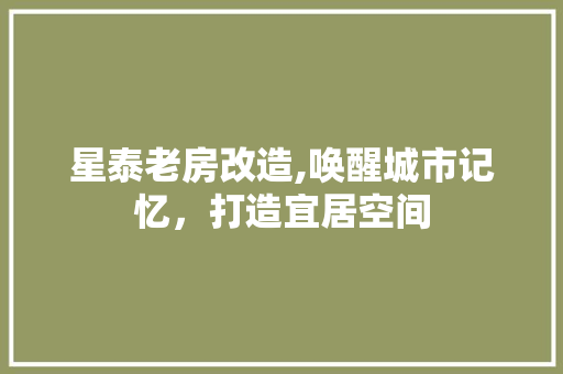 星泰老房改造,唤醒城市记忆，打造宜居空间 墙体维修