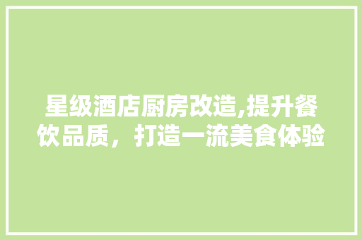 星级酒店厨房改造,提升餐饮品质，打造一流美食体验 墙体维修