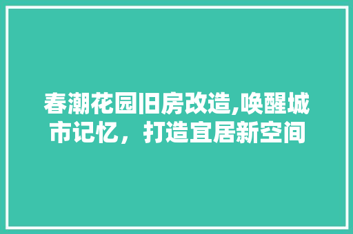 春潮花园旧房改造,唤醒城市记忆，打造宜居新空间 汽车维修
