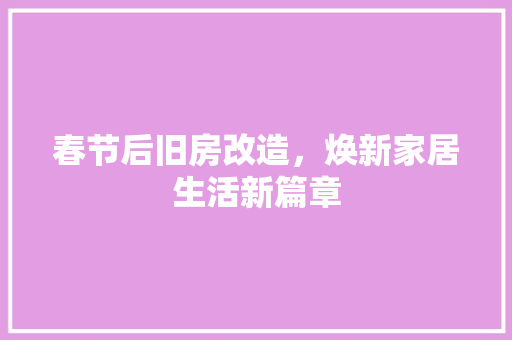 春节后旧房改造，焕新家居生活新篇章 汽车维修